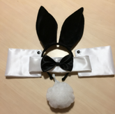 Deluxe Bunny Accessory Set