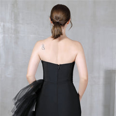 Bodycon Mesh Strapless Party Dress