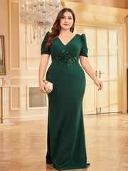 Luxury Applique Plus Size Women's Party Gown