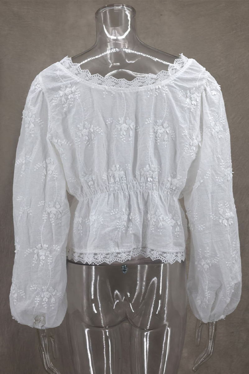 Daily Solid Color Embroidered Buttons See-Through U Neck Blouses