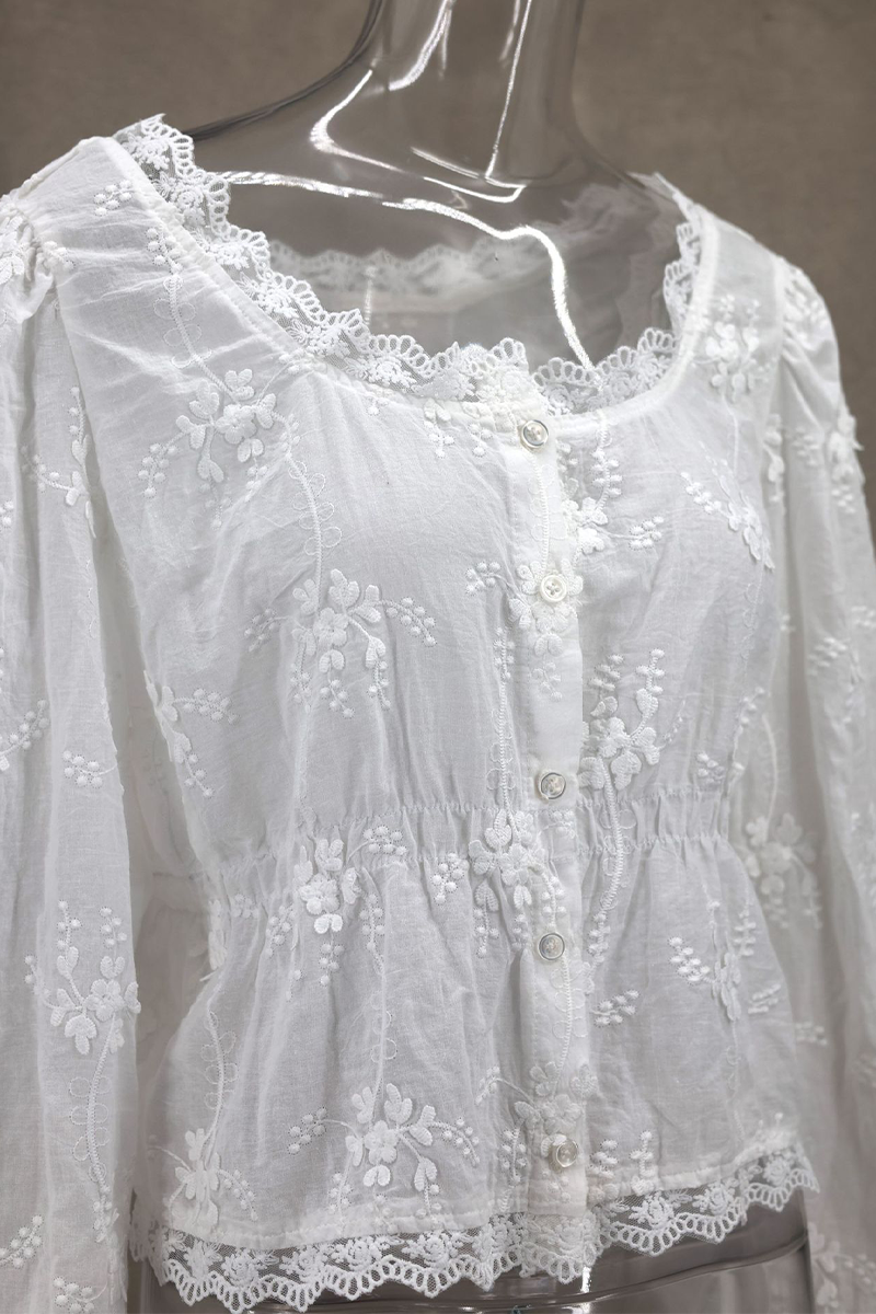 Daily Solid Color Embroidered Buttons See-Through U Neck Blouses