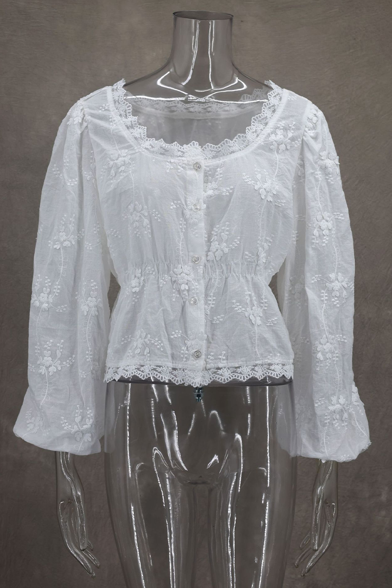 Daily Solid Color Embroidered Buttons See-Through U Neck Blouses