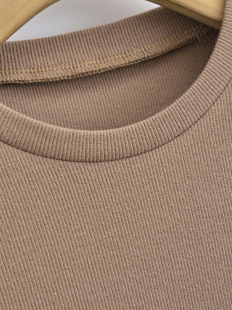 Bright Lines Women's Crop Tops