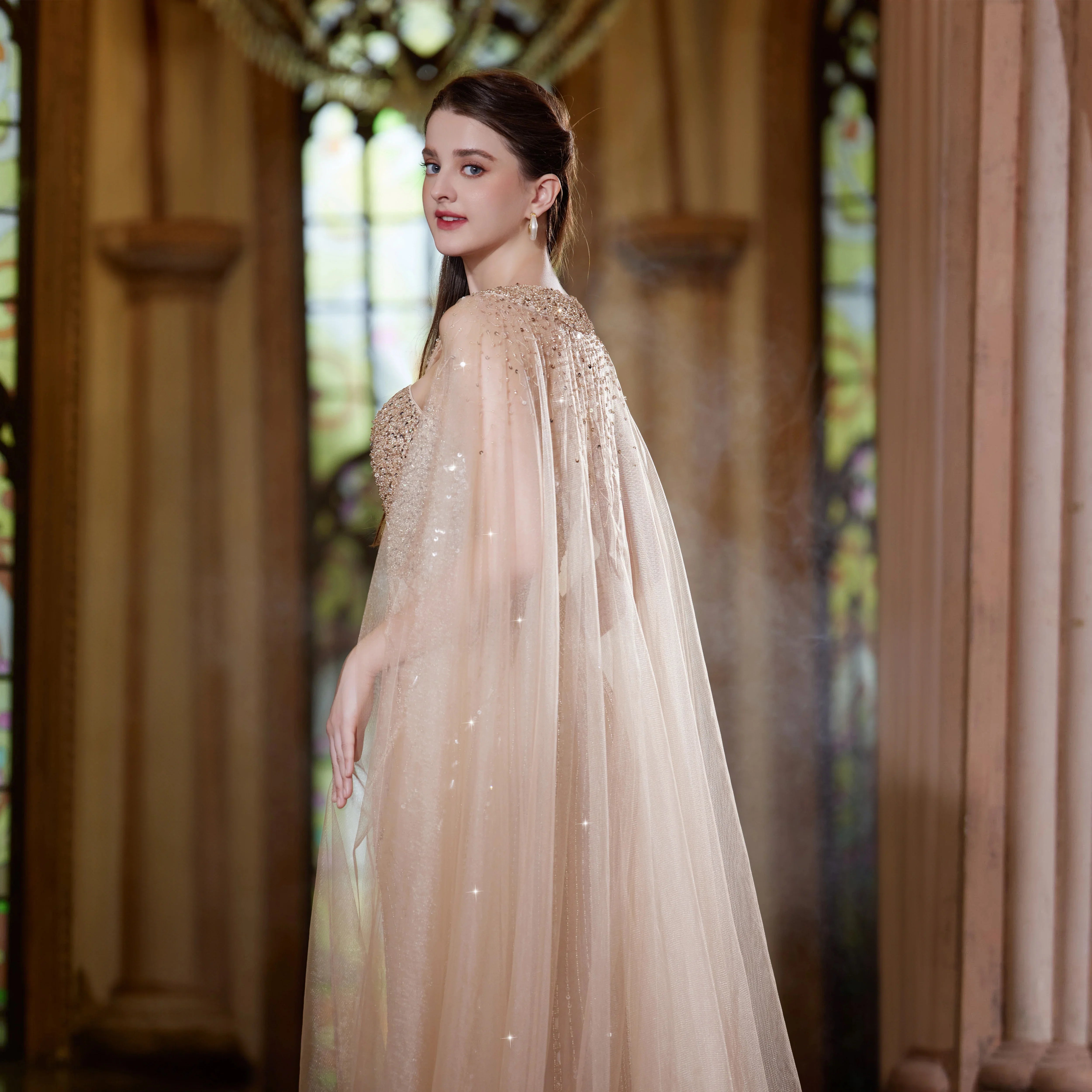 Richness Of Arabic Fashion Party Gown
