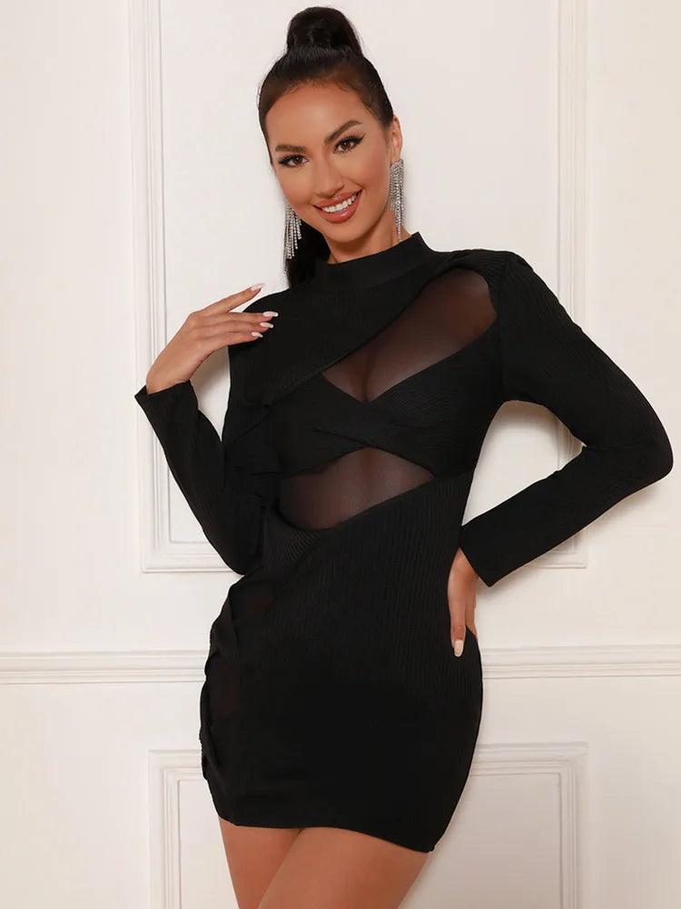 Mesh Turtleneck Mini Bodycon Dress