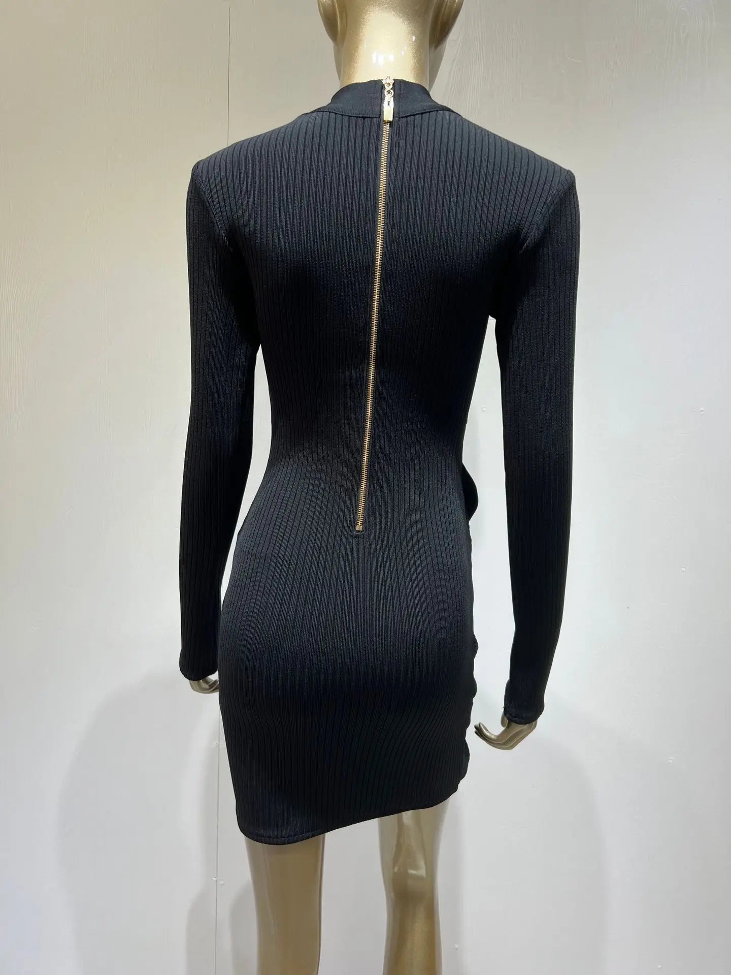 Mesh Turtleneck Mini Bodycon Dress