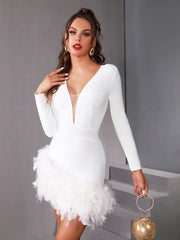 Luxury Mesh Feather Mini Dress