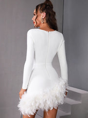 Luxury Mesh Feather Mini Dress