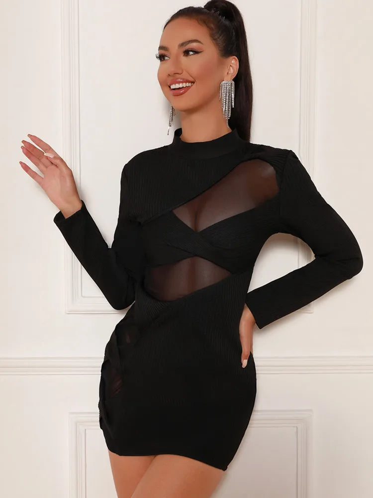 Mesh Turtleneck Mini Bodycon Dress